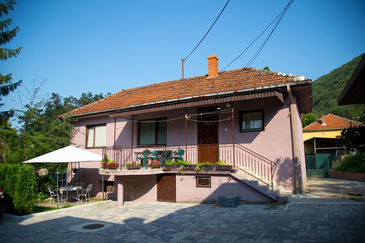 Apartments Cvetkovic Relax Niska Banja Exterior photo